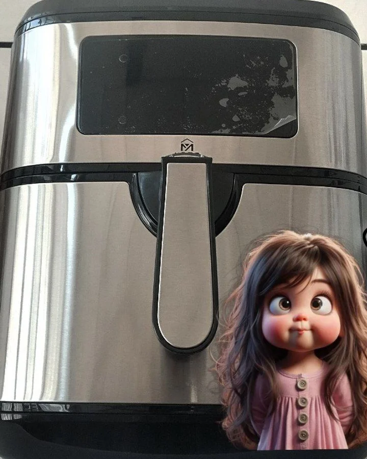 سرخ کن رژیمی مای هوم